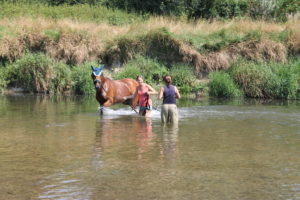 Pferd im Wasser mit Jo und Stef